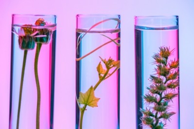 Biotechnology is increasingly used to create ingredients for cosmetics formulations in response to sustainability issues (Image: Getty)