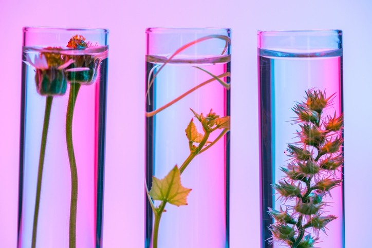 Biotechnology is increasingly used to create ingredients for cosmetics formulations in response to sustainability issues (Image: Getty)