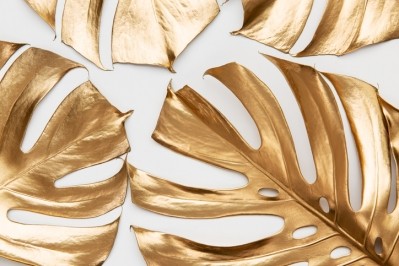 Within the context of the EC's European Green Deal, the time is now for sustainable change in luxury beauty (Getty Images)