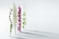 The biotech beauty ingredient company plans to use upcycled feedstocks, microbiome-oriented functional and active ingredients, low-energy formulation, and more
