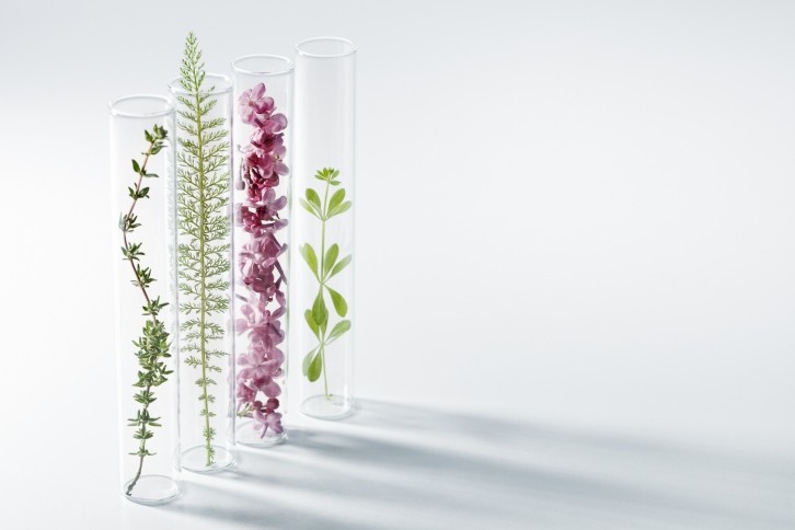 The biotech beauty ingredient company plans to use upcycled feedstocks, microbiome-oriented functional and active ingredients, low-energy formulation, and more
