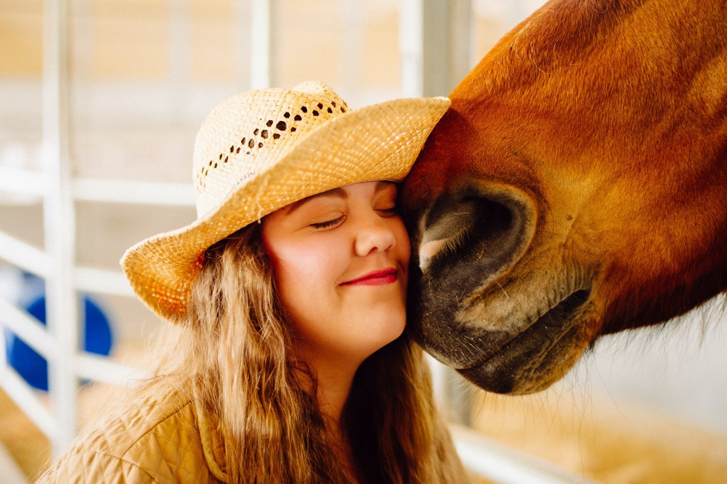 Horse photography