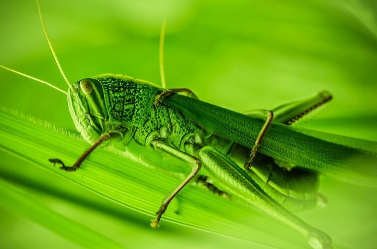 still life photography mistakes
