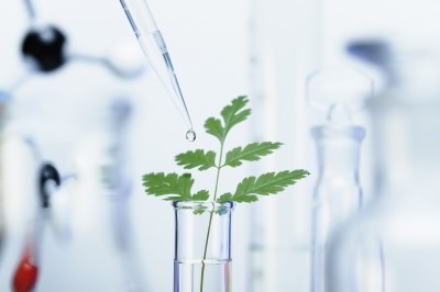 The startup's new process could help replace petrochemical-based solvents with natural alternatives (Image: Getty)