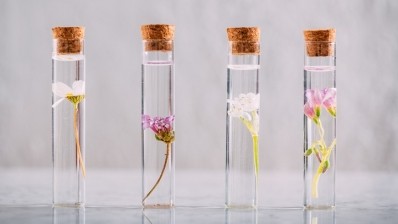 CosmeticsDesign’s editors on ingredients innovation at in-cosmetics Global 2024. [Getty Images]